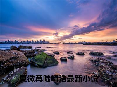 夏微苒陆崎浩全文免费阅读无弹窗大结局_（夏微苒陆崎浩阅读无弹窗）陆崎浩夏微苒最新章节列表_笔趣阁（陆崎浩夏微苒）