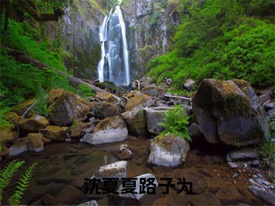 沈夏夏路子为(沈夏夏路子为)抖音热推小说全集无删减,沈夏夏路子为小说在线免费阅读大结局