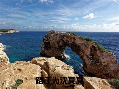 路子为沈夏夏(沈夏夏路子为)全文免费阅读大结局_(路子为沈夏夏)沈夏夏路子为免费在线阅读无删减_笔趣阁