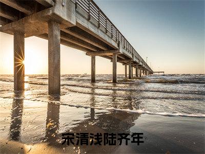 主角是宋清浅陆齐年的小说叫什么名字（宋清浅陆齐年）-完结版小说（宋清浅陆齐年）