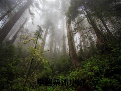 季遇桑沐免费完本小说 季遇桑沐精彩章节在线阅读