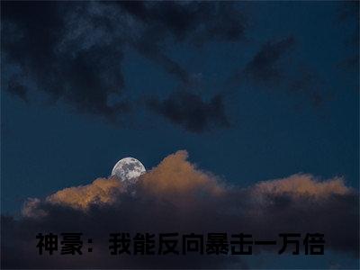 神豪：我能反向暴击一万倍是林宾的小说（神豪：我能反向暴击一万倍）免费读_小说免费林宾读-笔趣阁