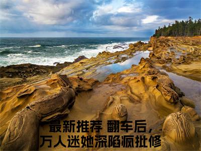 阮雪倾翻车后，万人迷她深陷疯批修罗场免费小说 翻车后，万人迷她深陷疯批修罗场全文无弹窗完整版阅读