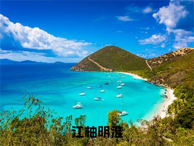 老书虫推荐江柚明淮小说-江柚明淮小说全章节阅读