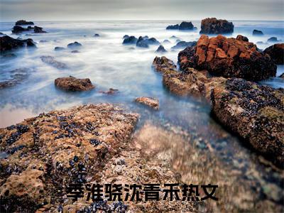 季淮骁沈青禾（季淮骁沈青禾）全文免费阅读无弹窗大结局_季淮骁沈青禾完整版小说阅读（季淮骁沈青禾）