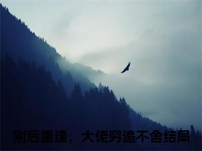 秦如烟陆景琛（别后重逢，大佬穷追不舍）免费阅读完整版-（秦如烟陆景琛小说）别后重逢，大佬穷追不舍全文大结局已完结