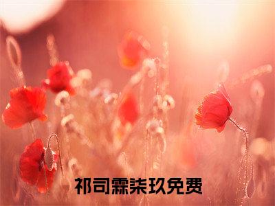 祁司霖柒玖小说全文免费阅读无弹窗-正版小说全文阅读