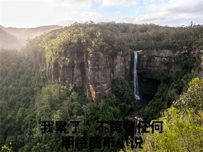 桑梦季斯汀小说（我累了，不再有任何期待）全文免费阅读无弹窗大结局_我累了，不再有任何期待最新章节列表（我累了，不再有任何期待）