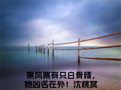 黑风寨有只白骨精，她凶名在外！沈桃（黑风寨有只白骨精，她凶名在外！沈桃）免费阅读无弹窗大结局-黑风寨有只白骨精，她凶名在外！沈桃（最新全章节大结局）全文阅读