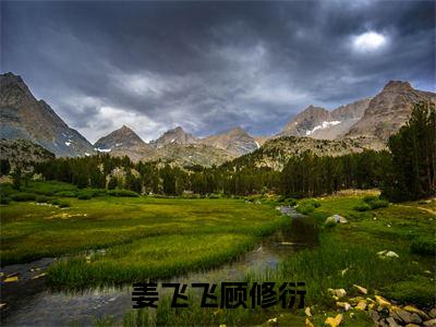 姜飞飞顾修衍（新婚夜，我转身嫁王爷废渣男满门）全文免费阅读无弹窗大结局_姜飞飞顾修衍热门小说最新章节阅读