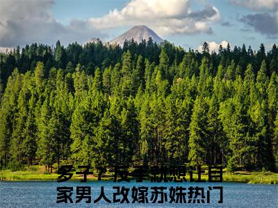 多子？反手就想让自家男人改嫁苏姝新出一本好看的小说-多子？反手就想让自家男人改嫁苏姝小说免费阅读完整版_笔趣阁（多子？反手就想让自家男人改嫁苏姝）