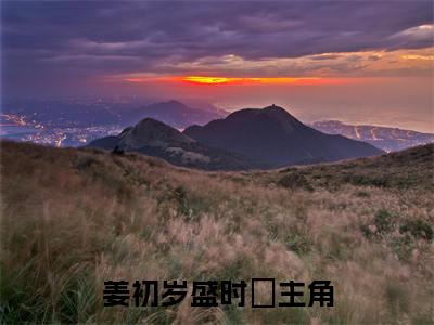 姜初岁盛时璟无删版小说阅读-姜初岁盛时璟全文无弹窗试读