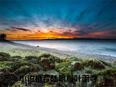 陆明楷叶雨寻（陆明楷叶雨寻）全文免费阅读无弹窗大结局-（陆明楷叶雨寻）陆明楷叶雨寻全文完结版阅读