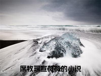 席牧琛宣薇薇（席牧琛宣薇薇）全文免费阅读无弹窗大结局_(席牧琛宣薇薇免费阅读)席牧琛宣薇薇最新章节列表_笔趣阁（席牧琛宣薇薇）