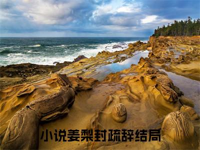 姜梨封疏辞最新章节免费阅读-姜梨封疏辞小说排行榜top1小说全文阅读