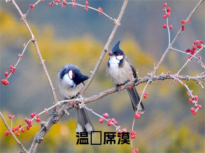 温婳席漠小说最新试读_(总裁，太太又回娘家了免费阅读最新章节列表)_笔趣阁