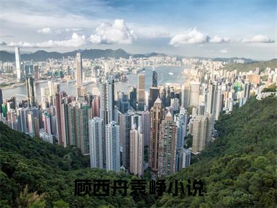 顾西舟袁峥（顾西舟袁峥）全文阅读完整版_顾西舟袁峥（顾西舟袁峥）小说免费阅读大结局无删减（顾西舟袁峥）