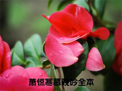 萧惊寒慕晚吟最新章节（萧惊寒慕晚吟）全文免费阅读无弹窗大结局_萧惊寒慕晚吟免费阅读（萧惊寒慕晚吟）