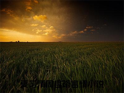 主角叫夏习清周自珩小说战帝神尊全文免费阅读