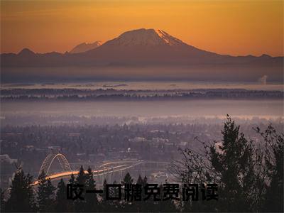 许棠沈确宴是什么小说-（咬一口糖）许棠沈确宴无弹窗免费阅读大结局最新章节列表_笔趣阁