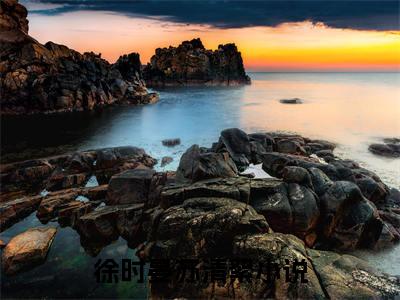 徐时晏苏清絮全文小说-徐时晏苏清絮小说最新章节免费阅读