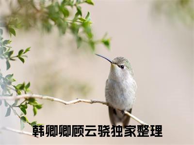 韩卿卿顾云骁全文阅读 韩卿卿顾云骁免费阅读无弹窗