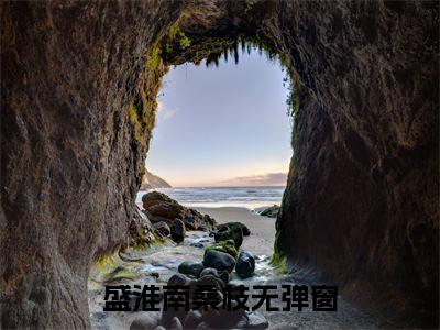 盛淮南桑枝（十三年深情，竟换来一个这么可笑的结局）全文免费阅读无弹窗_十三年深情，竟换来一个这么可笑的结局最新小说_笔趣阁