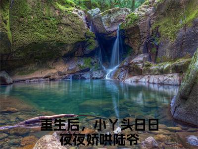 陆北承宋芷嫣（重生后，小丫头日日夜夜娇哄陆爷）小说最新推荐-重生后，小丫头日日夜夜娇哄陆爷陆北承宋芷嫣小说在线分享