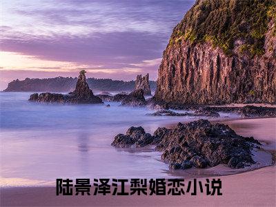 陆景泽江梨全文（陆景泽江梨）全文免费阅读无弹窗大结局_陆景泽江梨全文最新章节列表_笔趣阁（陆景泽江梨）