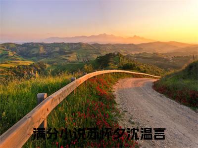 免费小说（苏怀夕沈温言）全文无弹窗阅读 苏怀夕沈温言大结局免费阅读无弹窗