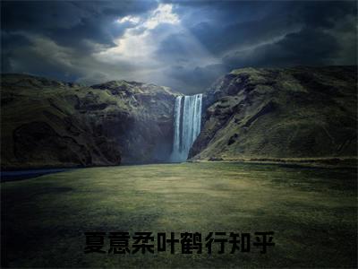 夏意柔叶鹤行（夏意柔叶鹤行）全文小说免费阅读-夏意柔叶鹤行最新章节列表_笔趣阁