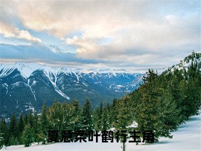 夏意柔叶鹤行小说（夏意柔叶鹤行）小说全文无删减版在线阅读_夏意柔叶鹤行小说最新章节列表