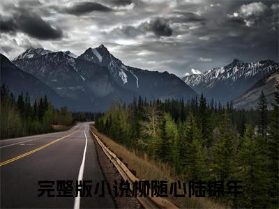 柳随心陆锦年（柳随心陆锦年小说）全文免费阅读无弹窗大结局_（柳随心陆锦年）柳随心陆锦年小说最新章节列表_笔趣阁（柳随心陆锦年）