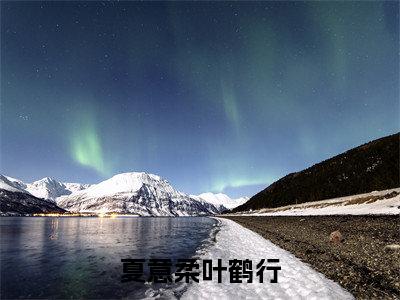 夏意柔叶鹤行小说全文免费阅读，夏意柔叶鹤行完整版