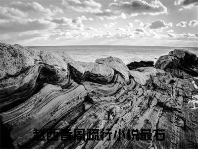 赵西音周疏行小说全文免费阅读 -赵西音周疏行在线完整版
