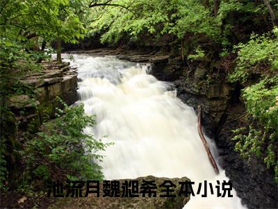 小说推荐池流月魏昶希精彩章节全文阅读-（池流月魏昶希）新书热荐免费小说