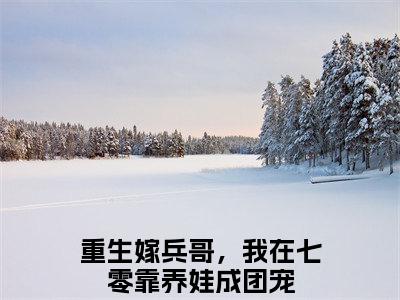 重生嫁兵哥，我在七零靠养娃成团宠（安妍林佑）全文免费阅读无弹窗大结局_重生嫁兵哥，我在七零靠养娃成团宠完整章节阅读