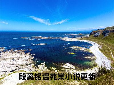 热门小说（段奚铭温苑棠）精选章节阅读-高质量小说推荐阅读