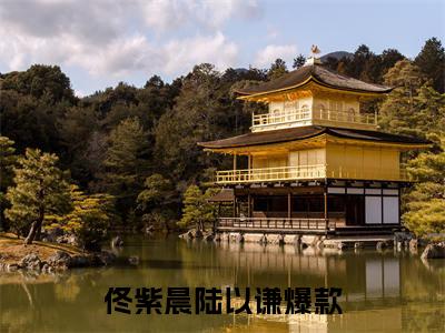 精选好书佟紫晨陆以谦全文免费阅读无弹窗大结局_佟紫晨陆以谦完整版全文在线赏析