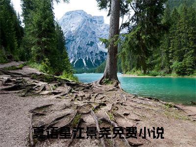 夏语星江景尧（夏语星江景尧）全文在线阅读无弹窗大结局_(夏语星江景尧免费阅读全文大结局)最新章节列表_笔趣阁（夏语星江景尧）