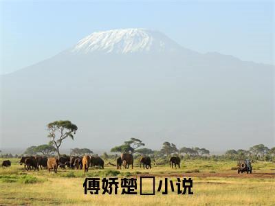 傅娇楚玧小说全文免费阅读无弹窗-傅娇楚玧小说全文在线赏析(今日更新最新章节)