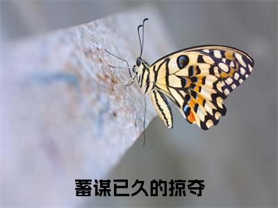 小说宁黛黎昀无弹窗免费阅读-新上热文小说（蓄谋已久的掠夺）讲的是什么