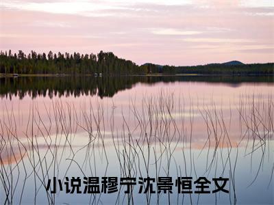 温穆宁沈景恒(温穆宁沈景恒)全文免费阅读无弹窗大结局_(温穆宁沈景恒免费阅读)温穆宁沈景恒无弹窗最新章节列表_笔趣阁（温穆宁沈景恒）