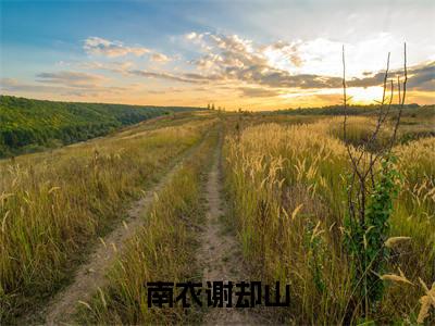 南衣谢却山（何不同舟渡）完整版小说阅读-南衣谢却山小说（何不同舟渡）精彩免费试读