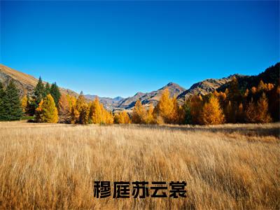 重生之庶女逆袭小说穆庭苏云裳大结局阅读-新上热文小说重生之庶女逆袭（穆庭苏云裳）讲的是什么