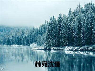 他应该不记得她了小说（林宛沈谦）全文免费阅读_（林宛沈谦）他应该不记得她了小说最新章节列表_笔趣阁（林宛沈谦）