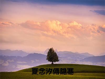 夏念汐傅隐寒（夏念汐傅隐寒）全文免费阅读无弹窗大结局_（夏念汐傅隐寒无弹窗）最新章节免费阅读_笔趣阁（夏念汐傅隐寒）