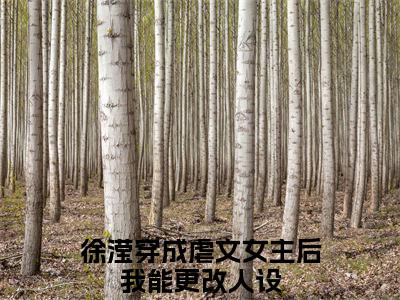 《穿成虐文女主后我能更改人设》全文免费阅读无弹窗大结局-徐滢无弹窗阅读