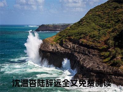 沈温杳陆辞远（沈温杳陆辞远）全文免费阅读无弹窗大结局_沈温杳陆辞远:沈温杳陆辞远最新章节列表_笔趣阁（沈温杳陆辞远）
