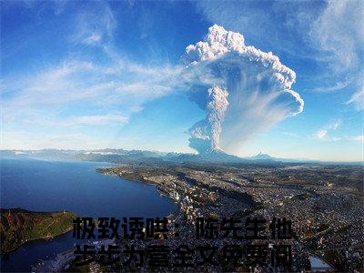 极致诱哄：陈先生他步步为营小说（陈卿秦湄）全文免费阅读无弹窗大结局_ (极致诱哄：陈先生他步步为营免费阅读)最新章节列表_笔趣阁（陈卿秦湄）